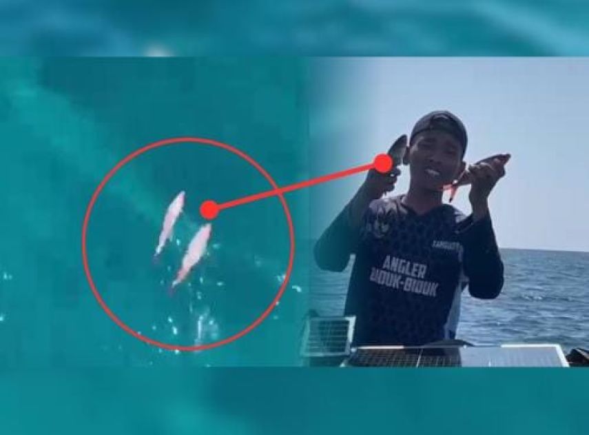 Pengeboman Ikan di Perairan Berau Marak Terjadi, Dinas Perikanan Akui Terbatas Kewenangan