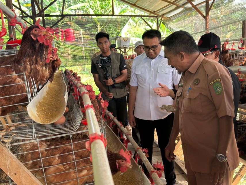 Desa Loa Duri Ilir Raih Juara 3 Nasional, Bupati Kukar Tinjau Langsung Kawasan Ketahanan Pangan Terpadu