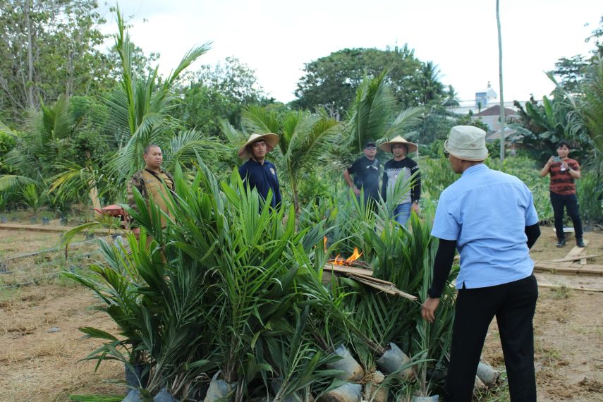 Disbun dan Polda Kaltim Musnahkan Hampir 87 Ribu Benih Sawit Tanpa Sertifikat, Imbau Petani Taat Aturan