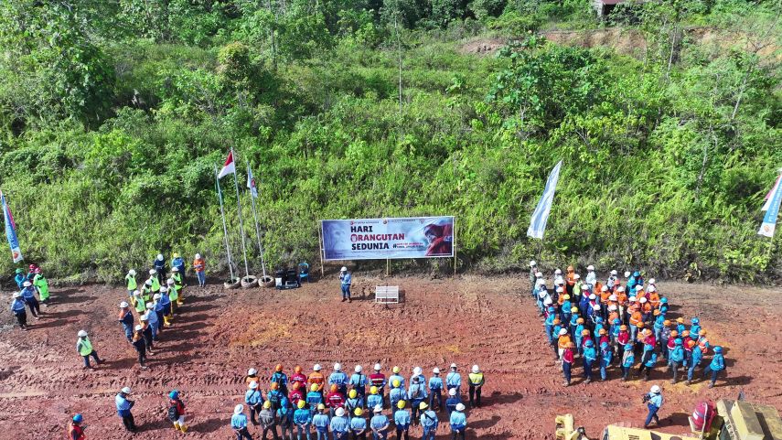 Hari Orangutan Sedunia 2025, PT Perkasa Inakakerta Bangun Demplot Tanaman Pakan di Lahan Reklamasi Bengalon  