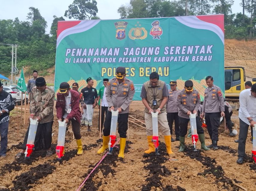 Penanaman Jagung Serentak di Lahan Ponpes Annahdiyah Berau, Hasil Panen Dikawal Distanak dan Diserap Bulog