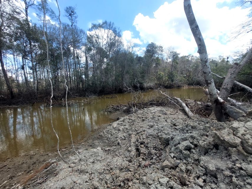 PT BBA Klaim Kantongi Izin Kementerian PUPR Ubah Alur Sungai, Pemkab Berau Sebut Tak Pernah Dilibatkan