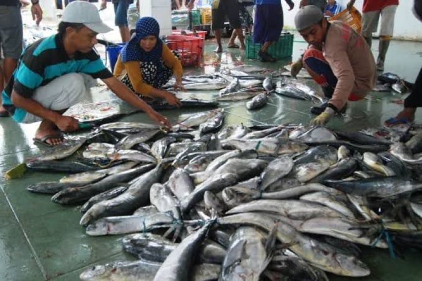 DKP Kukar Dorong Hilirisasi Perikanan, Targetkan 100 Ribu Nelayan Tangguh