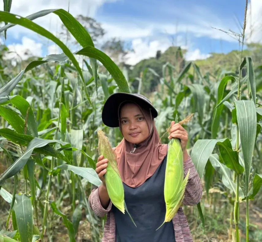 Sarini, Guru TK yang Menanam Jagung dan Harapan Lewat Program PPM Berau Coal