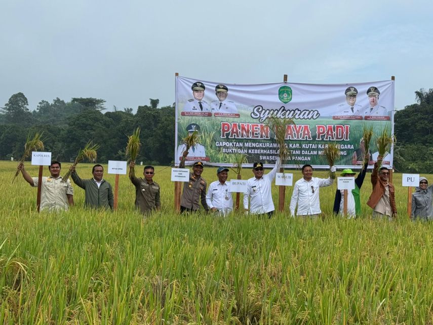Gapoktan Mangkurawang Gelar Panen Raya, Kukar Pertahankan Status Lumbung Pangan Kaltim