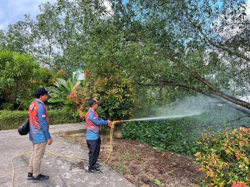 Serangan Ulat Bulu di Taman Bebaya Ganggu Pengunjung, BPBD Samarinda Lakukan Penyemprotan Pengendalian