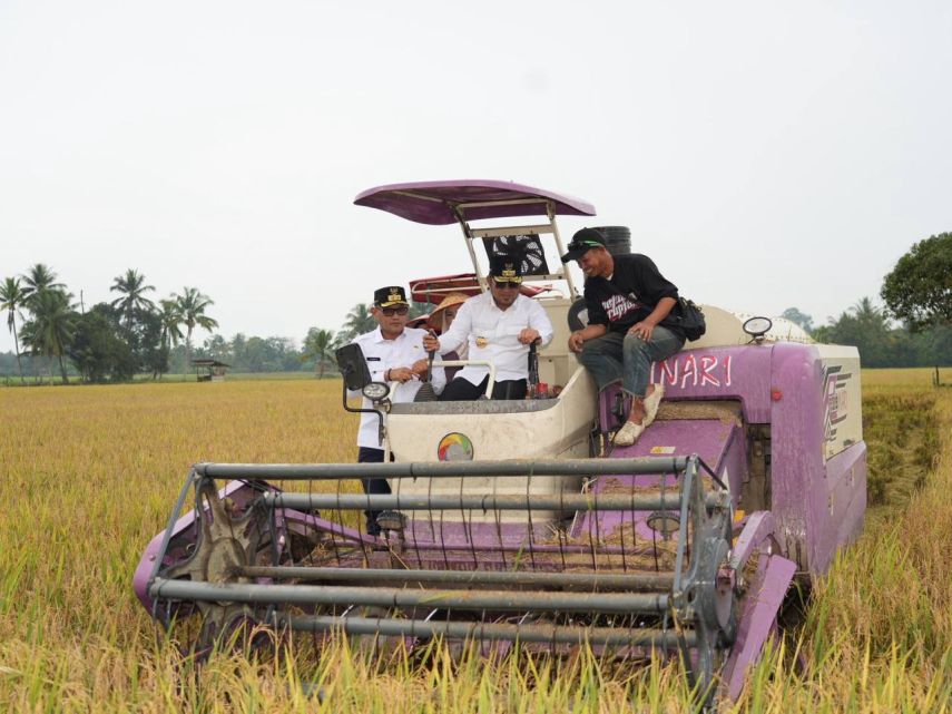 Siapkan 25.000 Hektare Kawasan Perhutanan Jadi Area Pertanian Baru, Rudy Mas'ud Optimistis Kaltim Bisa Capai Swasembada Pangan