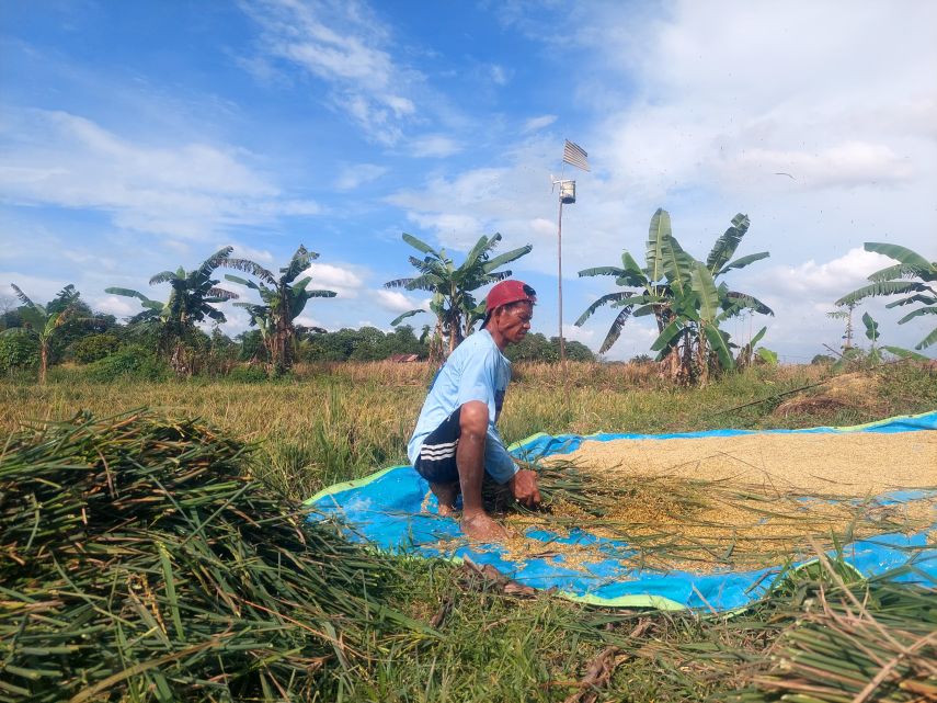 Bupati Berau Dorong Swasembada Pangan, Minimalisir Ketergantungan Komoditi dari Luar Daerah
