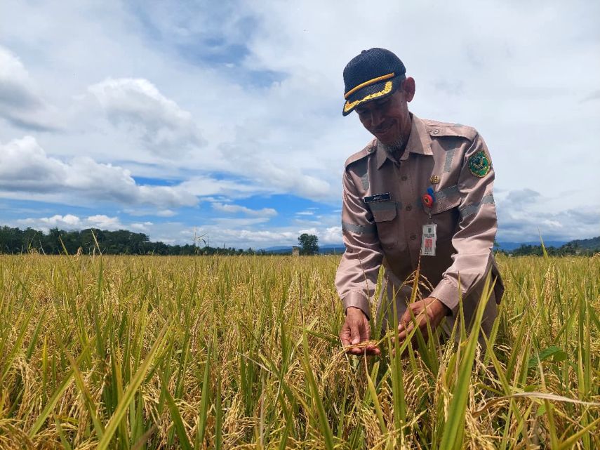 DTPHP Rutin Salurkan Bantuan Bibit Ternak dan Jagung, DPRD Minta Pengawasan Berkala