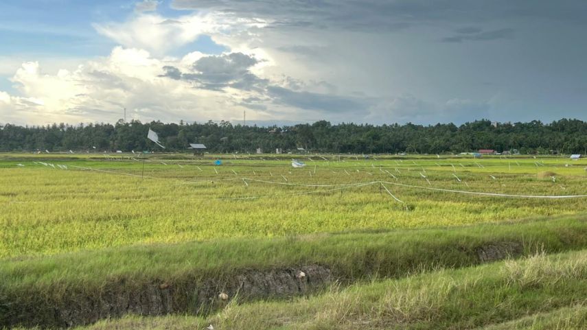 Desa Segihan Rancang Sistem Irigasi Mandiri, Petani Tak Lagi Tergantung Musim