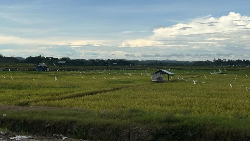 Desa Kahala Siapkan Ekspansi Lahan Pertanian 100 Hektare Lewat BUMDes dan Kemitraan Swasta