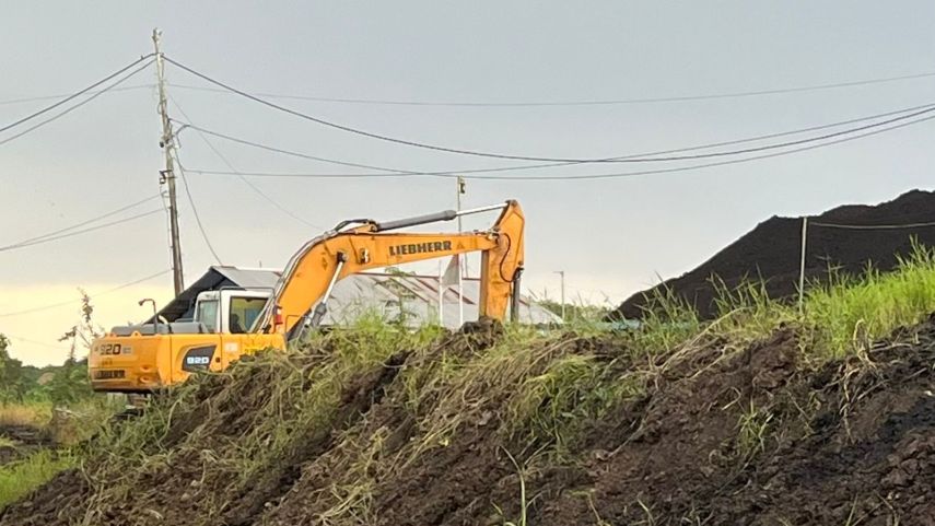 Desa Embalut Ubah Lahan Bekas Tambang Jadi Kawasan Jagung Produktif