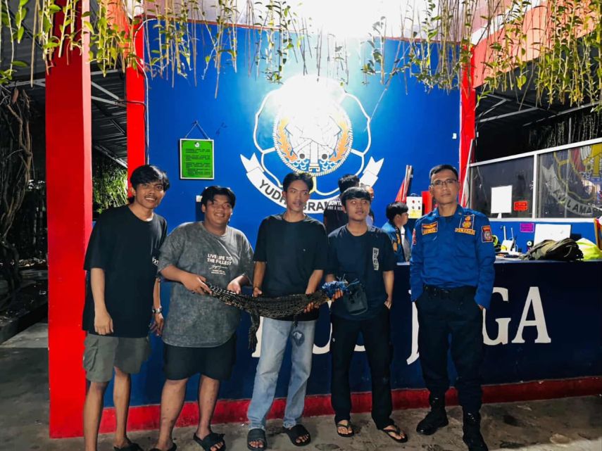 Disdamkartan Bontang Imbau Waspada, Anak Buaya Ditemukan Melintas di Bawah Kamera ETLE