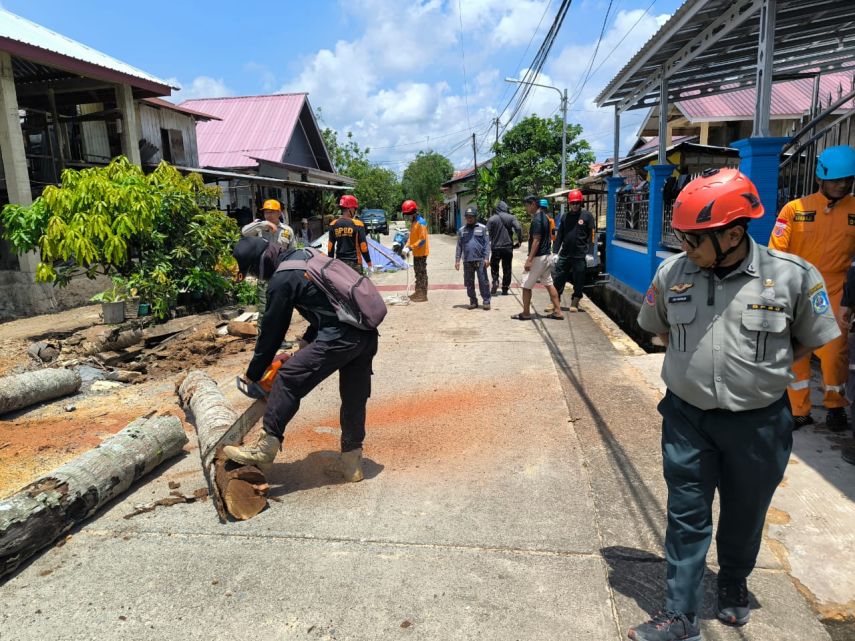 BPBD Bontang Gerak Cepat Tebang Pohon Berisiko, Warga Gunung Telihan Kini Lebih Aman