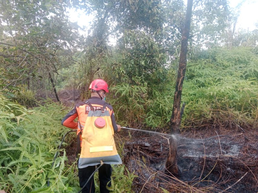 BPBD Bontang Imbau Warga Tak Bakar Lahan di Tengah Cuaca Panas Ekstrem
