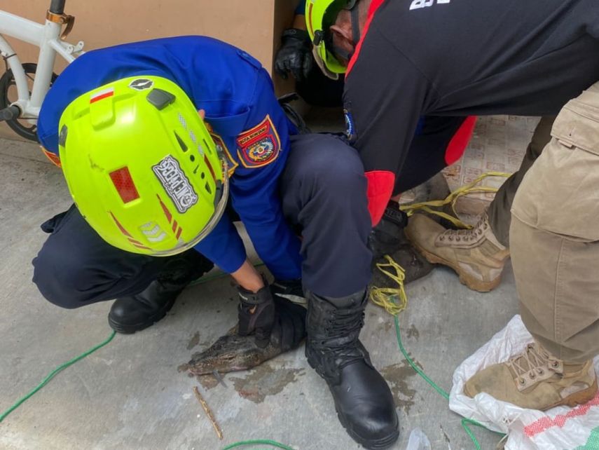 Biawak Masuk Komplek Ruko Halal Square, Tim Rescue Regu 4 Lakukan Evakuasi Aman