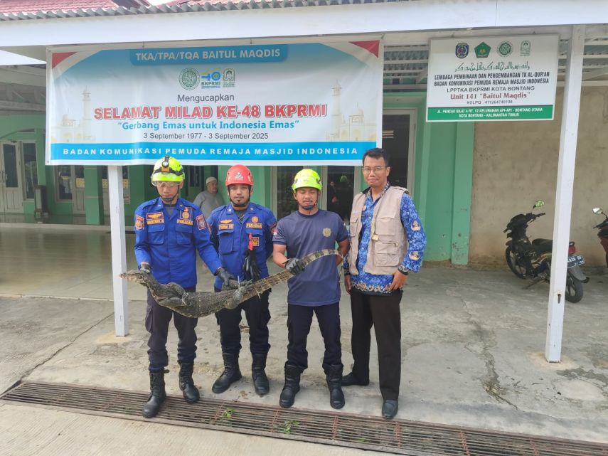 Biawak Masuk Toilet Masjid, Tim Rescue Disdamkartan Bontang Berhasil Evakuasi