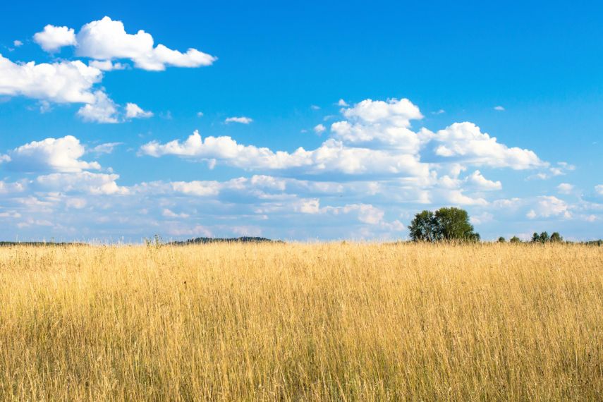 Prakiraan Cuaca Kutim dan Sekitarnya Hari Ini, Jumat, 7 November 2025