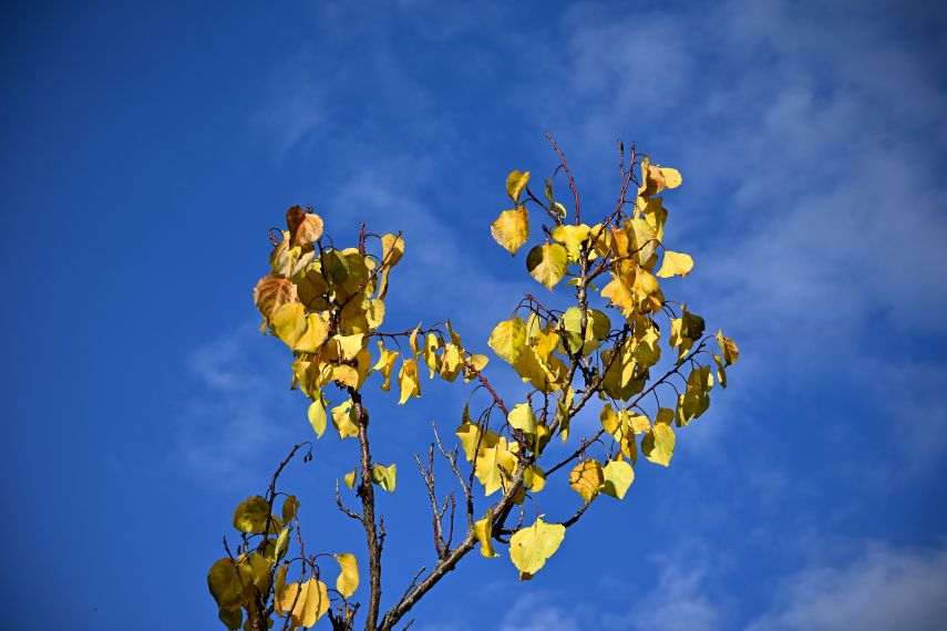 Prakiraan Cuaca Kutim dan Sekitarnya Hari Ini, Sabtu, 1 November 2025