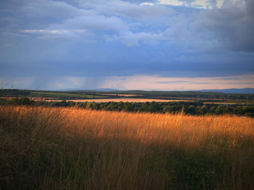 Prakiraan Cuaca Kukar dan Sekitarnya Hari Ini, Selasa, 4 November 2025