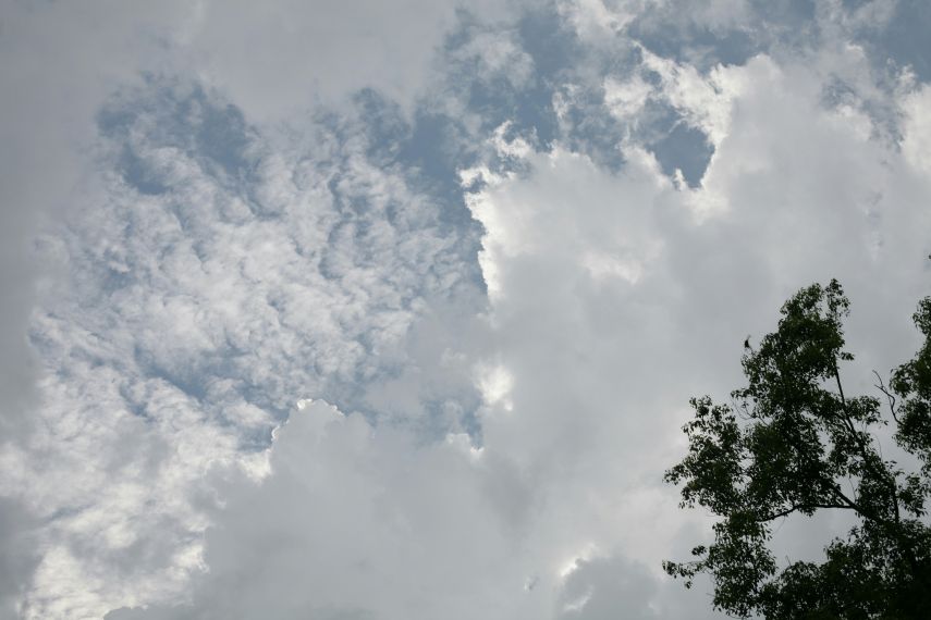 Prakiraan Cuaca Bontang dan Sekitarnya Hari Ini, Senin, 24 November 2025