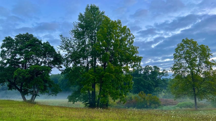 Prakiraan Cuaca Kukar dan Sekitarnya Hari Ini, Sabtu, 8 November 2025