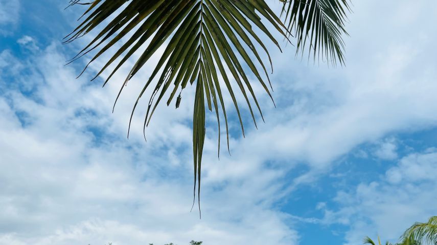 Prakiraan Cuaca Kukar dan Sekitarnya Hari Ini, Sabtu, 1 November 2025