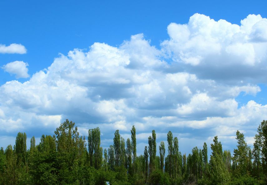 Prakiraan Cuaca PPU dan Sekitarnya Hari Ini, Jumat, 7 November 2025