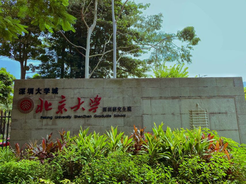 Chinese Government Scholarship Dibuka! Kesempatan Beasiswa S1-S3 ke China 2026 Tanpa Uji TOEFL/IELTS