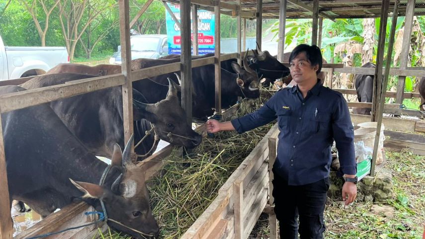 Pemkab Konsisten Salurkan Hewan Kurban Lewat Program Kukar Berkah