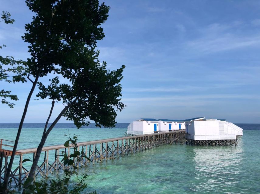 Sri Juniarsih Fokus Ciptakan SDM Unggul untuk Dukung Kerja Sama Ekonomi Biru Berau–Seychelles