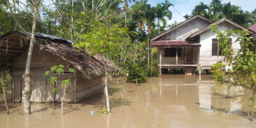 Banjir Landa Aceh: 12 Daerah Terendam, Ribuan Warga Mengungsi, dan 2 Tewas