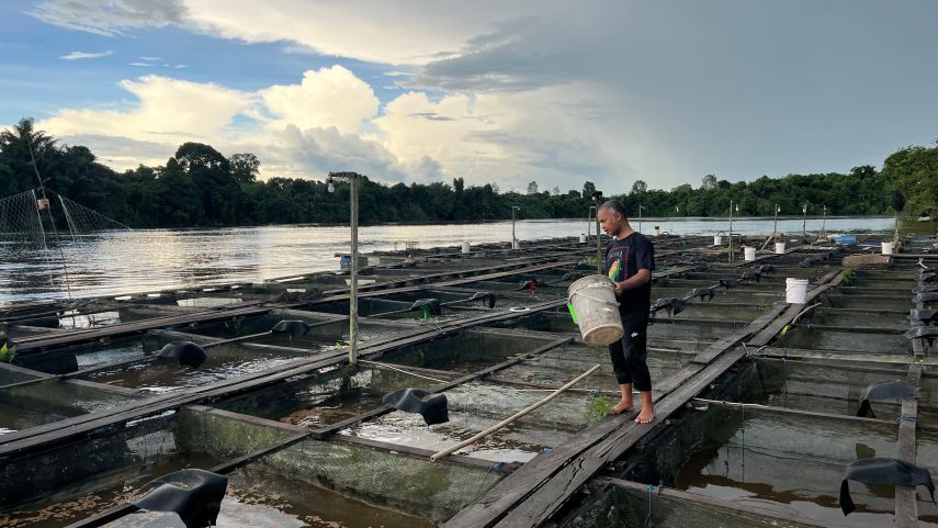 DKP Kukar Perluas Pemberdayaan Pelaku Perikanan, 10 Ribu Orang Ditarget Dapat Fasilitas per Tahun