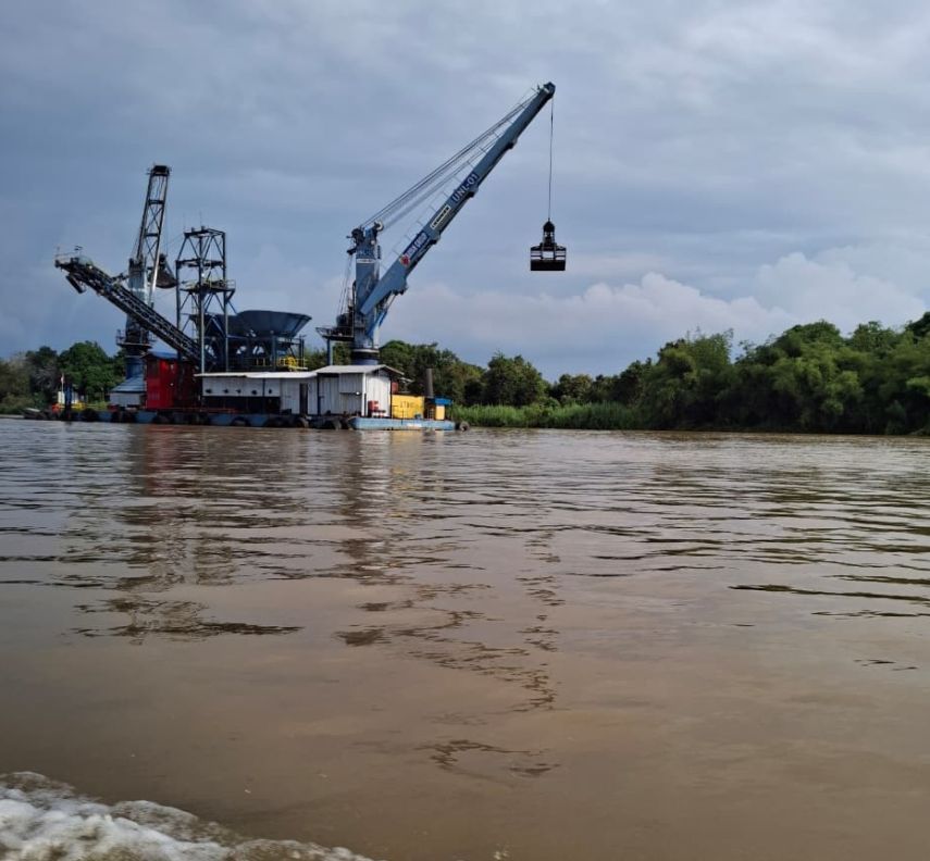 Pesut Mahakam Mati, KLH Temukan Tiga Perusahaan Batu Bara Beroperasi Tanpa Izin di Anak Sungai Mahakam