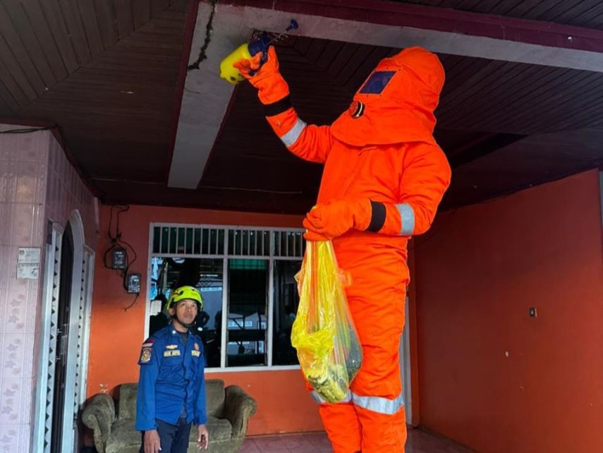 Disdamkartan Bontang Evakuasi Lebah di Plafon Salah Satu Rumah Warga