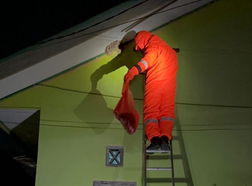 Disdamkartan Bontang Tindaklanjuti Laporan Warga, Sarang Tawon di MT Haryono Berhasil Dievakuasi