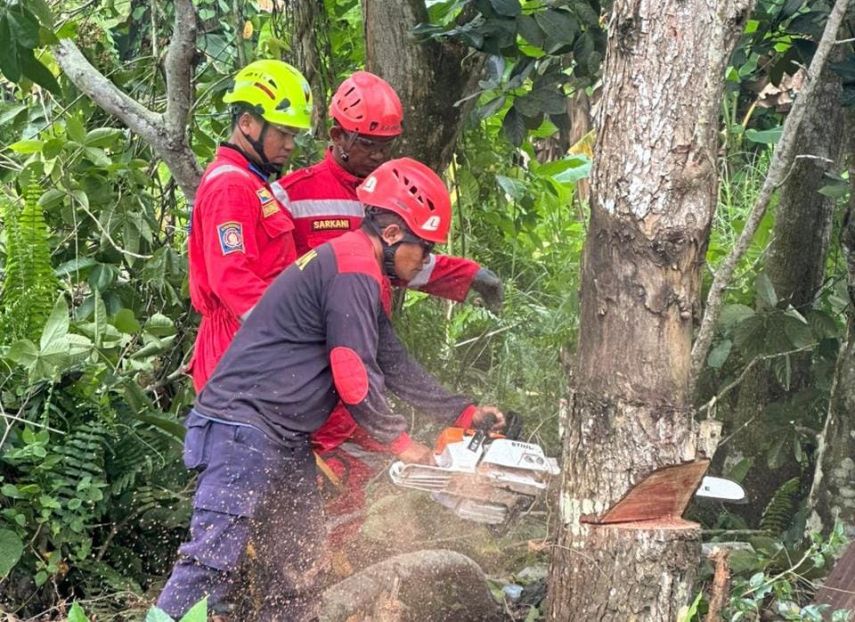 Disdamkartan Bontang Tebang Pohon yang Berpotensi Roboh di Teluk Kadere