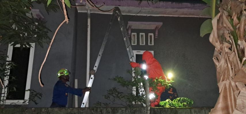 Sarang Tawon Resahkan Warga Loktuan, Disdamkartan Bertindak Cepat