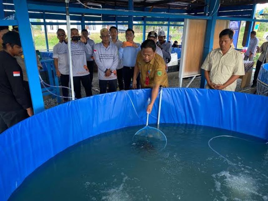 Biatan Ilir Kembangkan Budidaya Ikan Air Tawar, Sekda Berau Minta Kampung Lain Jadikan Contoh