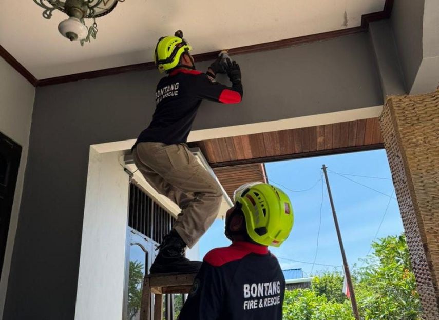 Saat Ancaman Datang dari Sudut Rumah: Kisah Damkar Bontang Menjinakkan Koloni Lebah dan Tawon