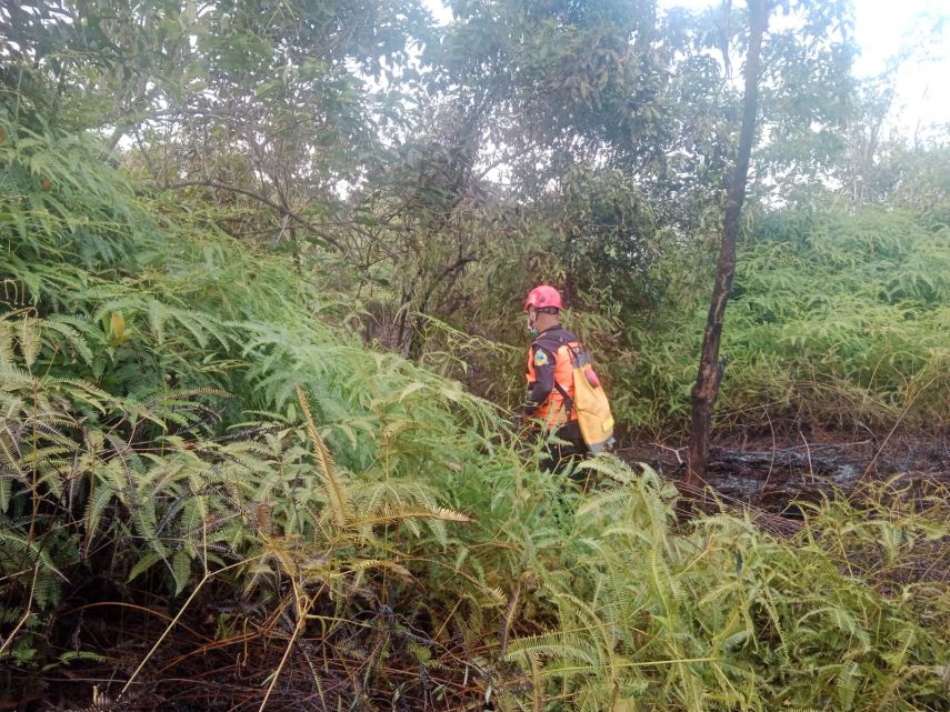 Sembilan Kebakaran Terjadi di Bontang, BPBD Tingkatkan Patroli dan Imbauan
