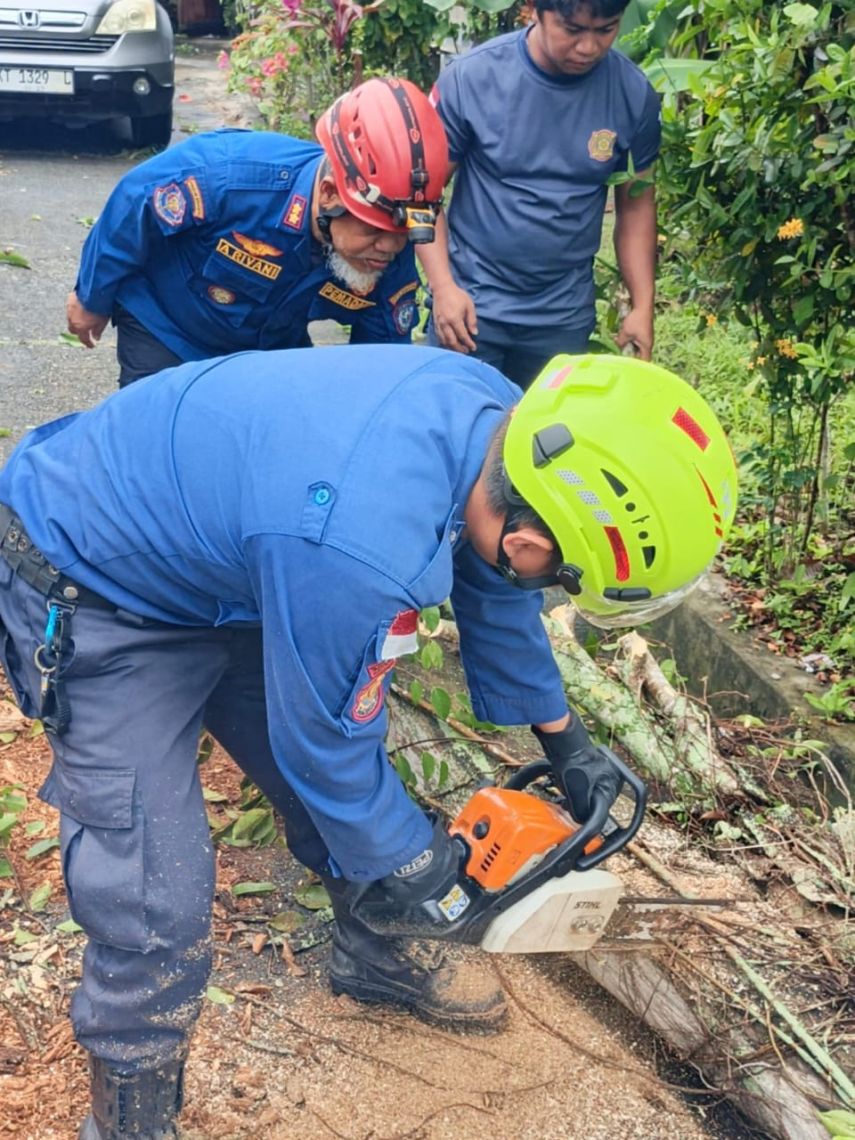 Tim Rescue Disdamkartan Bontang Gerak Cepat Evakuasi Pohon Tumbang di Berbas Tengah