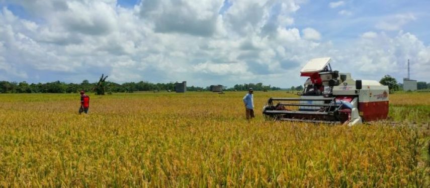 Pemkab Kukar Dorong Revolusi SDM Pertanian, 162 Sekolah Lapangan Jadi Mesin Pembentuk Petani Masa Depan