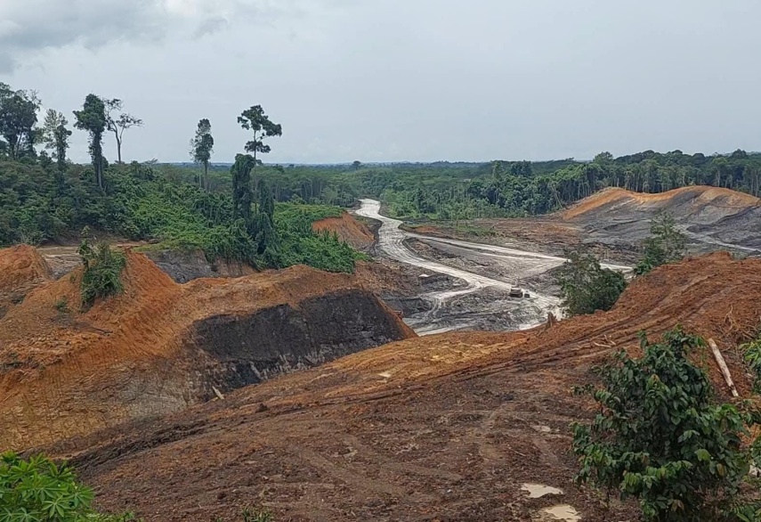 Deforestasi di Berau Semakin Parah, Ketua HKTI Kaltim Dorong Lahan Pascatambang Jadi Kawasan Produktif