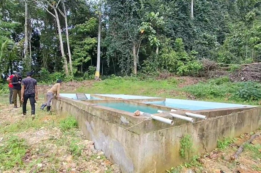 Dugaan Penyelewengan Dana BUMK dan Fee Kayu di Kampung Pilanjau Kini Ditangani Inspektorat Berau