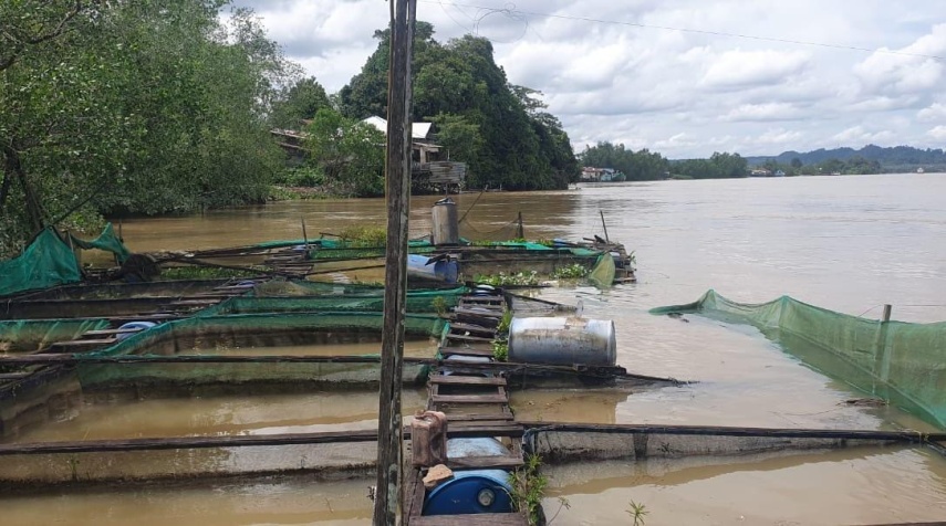 Perusahaan Tongkang yang Tabrak Keramba Warga di Bedungun Berau Janji Bayar Ganti Rugi Rp 900 Juta, Diberi Batas Waktu Seminggu