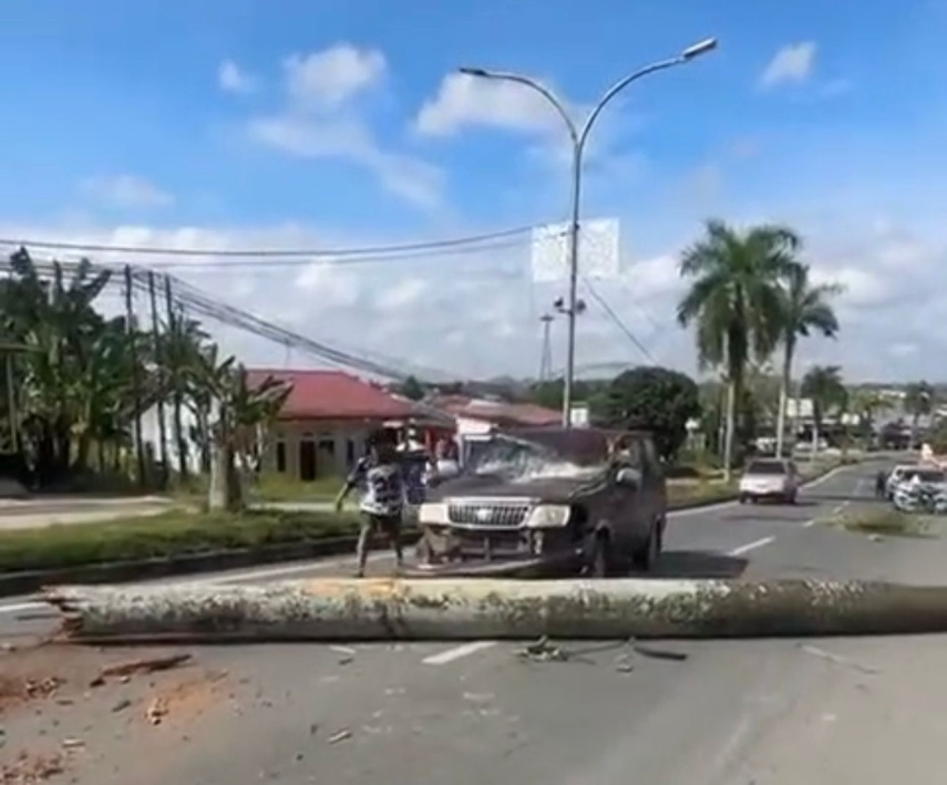 Mobil Tertimpa Pohon Tumbang di Jalur Poros Tenggarong-Samarinda, Lima Penumpang Selamat