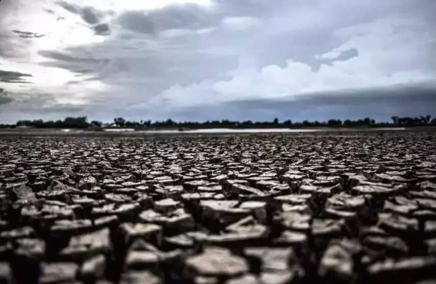 Waspada El Nino Godzilla 2026: Ancaman Penyakit Menular hingga Krisis Air Bersih