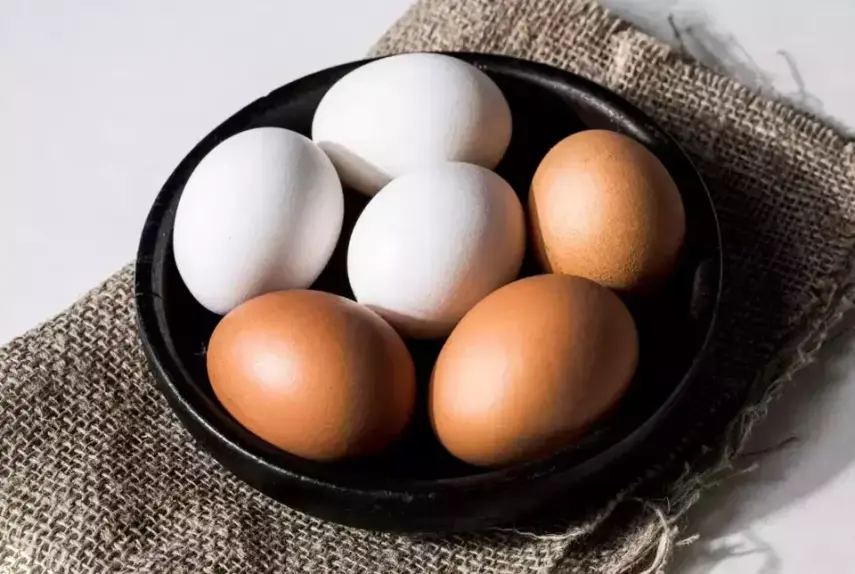 Telur Ayam vs Bebek: Mana yang Lebih Sehat dan Bergizi?