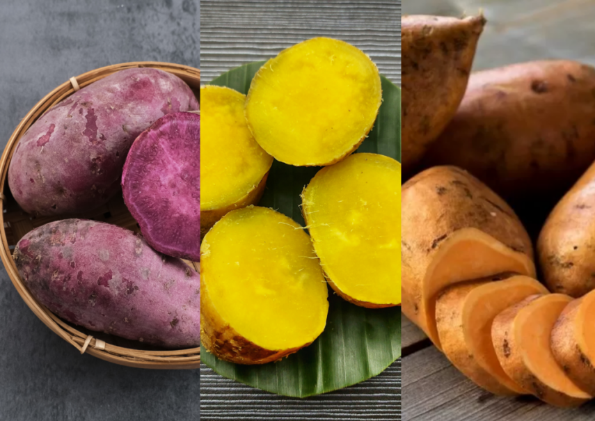 Bukan Cuma Ubi Ungu, Ini 4 Varietas Ubi Jalar yang Kaya Nutrisi bagi Tubuh